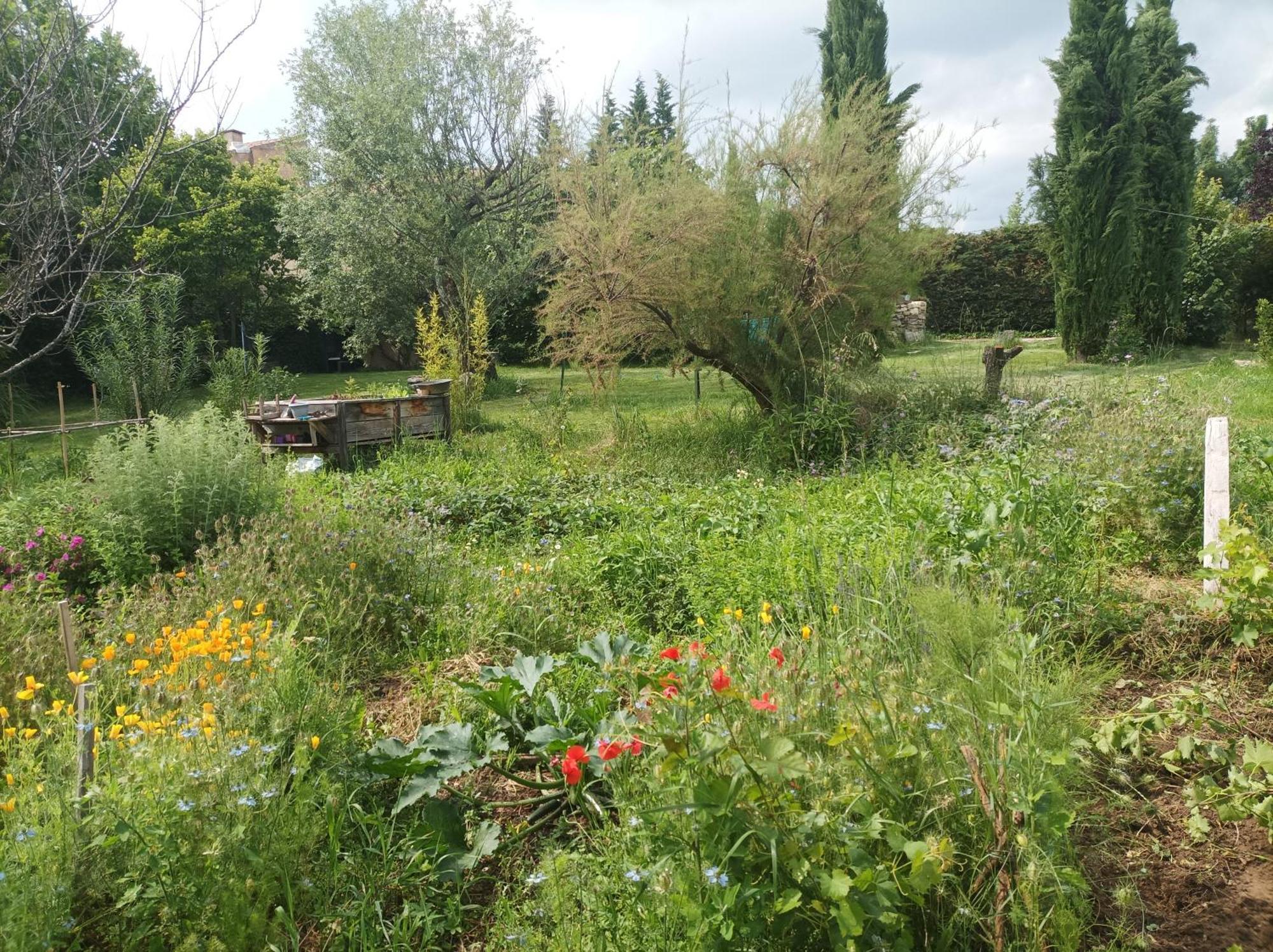 Campagne De Pre Grand Bed & Breakfast Saint-Etienne-les-Orgues Luaran gambar